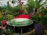 Chelsea Flower​ Show​ 2019 Trip for Competition Winners #6